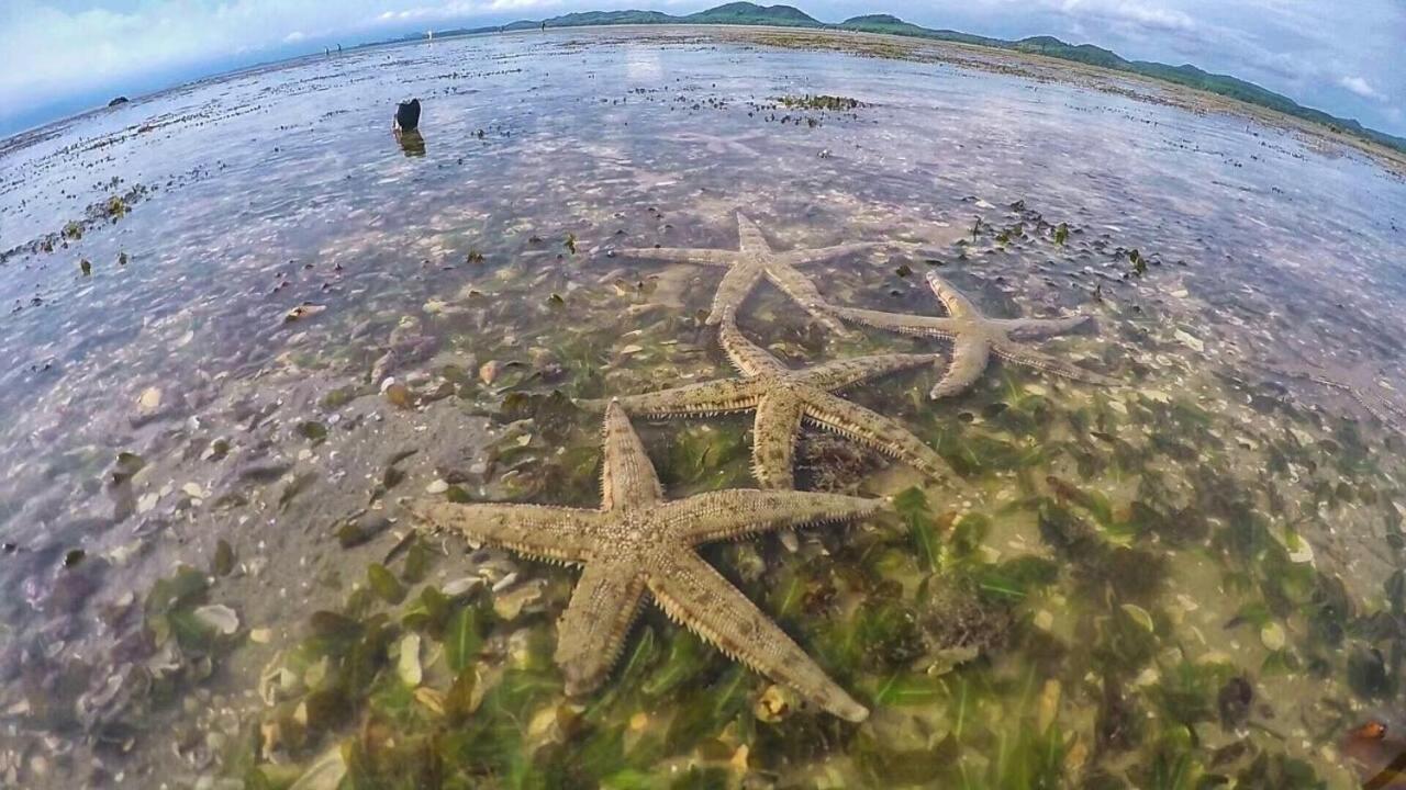 Bankruchaem Homestay Kohpu Ko Pu Luaran gambar